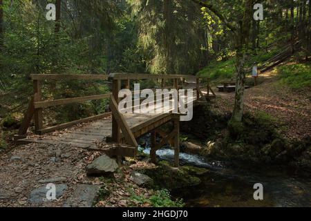 Pont en bois au-dessus de la crique Zeleny potok à Pec pod Snezkou dans les montagnes géantes, République tchèque, Europe Banque D'Images