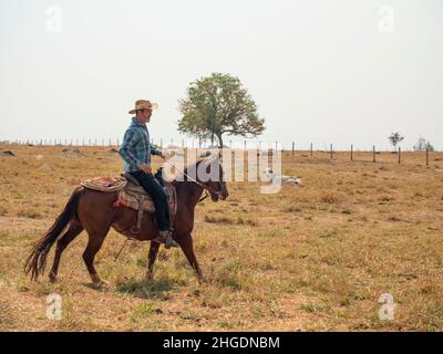 Cow-boy travaille de son cheval dans une ferme Banque D'Images