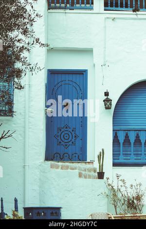 Mer, Shatt Bahr, arbres, rochers, ciel,bleu, cabane, mosquée, industries traditionnelles, zones touristiques,montagne, porte bleue, oiseau, la marsa et sidi bou Banque D'Images