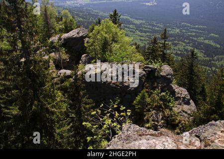 Vue de Grosser Falkenstein dans le parc national de la forêt bavaroise en Bavière, Allemagne, Europe Banque D'Images