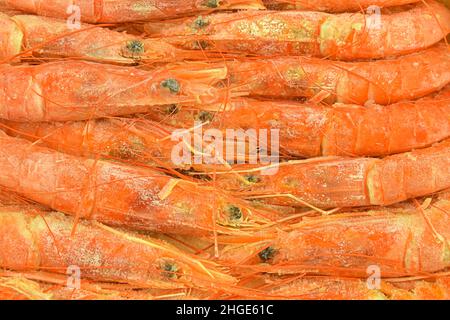 Crevettes tigrées très grandes congelées servies sur glace.Vue de dessus.Gros plan Banque D'Images