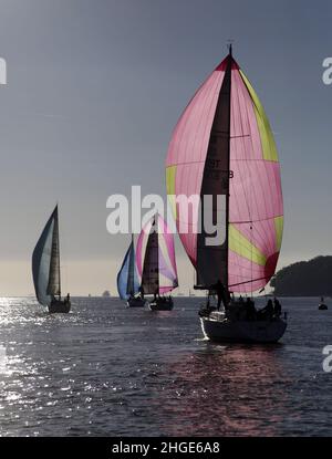 Yachts fonctionnant sous le vent avec des spinnakers symétriques déployés dans le vent léger.Course de Cowes à Cherbourg Banque D'Images