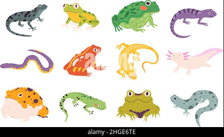 Bande dessinée amphibiens exotiques et reptiles, lézards, newts, crapauds et grenouilles.Animaux tropicaux, gecko, triton, salamandre et ensemble de vecteurs axolotl Illustration de Vecteur