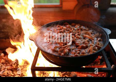 Faire bouillir les champignons au miel dans le chou-fleur au feu, Carélie Banque D'Images