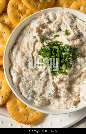 Trempette au saumon fumé maison avec ciboulette et craquelins Banque D'Images