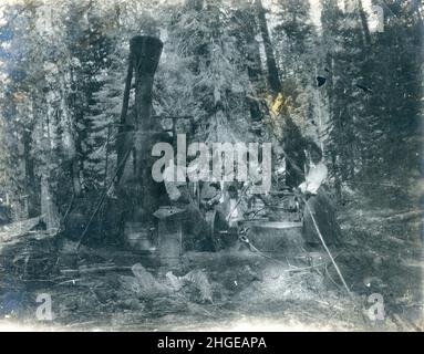 Photographie antique vers 1900, moteur âne à l'exploitation forestière.Emplacement exact inconnu, États-Unis.SOURCE : PHOTO ORIGINALE Banque D'Images