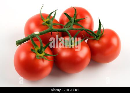 Gros plan de tomates en grappe sur fond blanc Banque D'Images