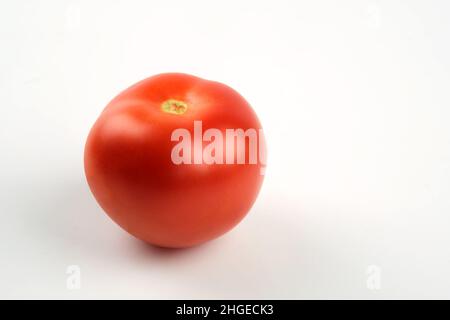 Gros plan d'une seule tomate sur fond blanc Banque D'Images