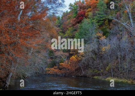 Les dernières couleurs de l'automne restent dans la forêt le long des rives de la rivière South Holston, près de Bristol, Tennessee Banque D'Images