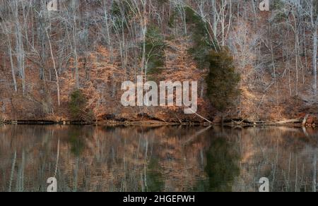 Paysage d'automne vu de Duck Island dans le parc national Warriors Path à Kingsport, Tennessee. Banque D'Images