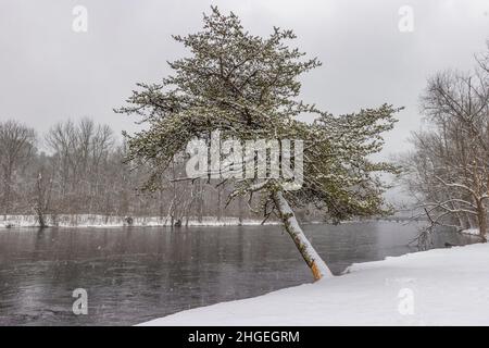 La neige tombant couvre les berges de la rivière Holston sud avec un arbre isolé au-dessus de l'eau près de Bristol, Tennessee. Banque D'Images