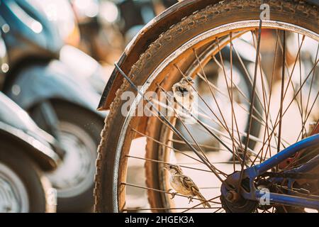 Goa, Inde.Gros plan sur la roue de vélo de la rue.Goa, Inde.Gros plan sur la roue de vélo de la rue Banque D'Images