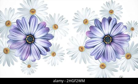 Ensemble de blanc et violet différents boutons de fleurs d'été tournant, isolé sur fond blanc.Chamomiles, fleurs cosmos et violettes tournant Banque D'Images