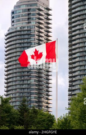 Drapeau canadien rouge et blanc agitant sur le mât au-dessus des arbres du parc devant des édifices modernes de haute hauteur.La feuille d'érable rouge est un symbole d'État du Canada Banque D'Images