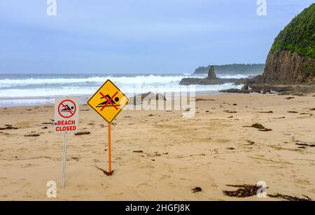 La plage a fermé des panneaux sur la plage en raison de l'avertissement de tsunami et de la mer agitée après le tremblement de terre de Jones Beach, Kiama Heights, Nouvelle-Galles du Sud, Australie Banque D'Images