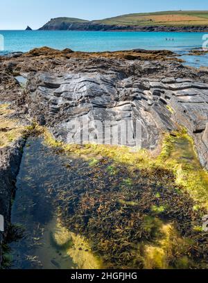 Eau de mer aux couleurs vives, chauffée par le soleil de l'après-midi en milieu d'été, flottant dans de l'eau de mer chaude et toujours de l'Atlantique, recueillie là pendant la marée haute. Banque D'Images