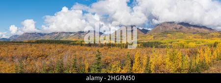 Paysage panoramique dans le territoire du Yukon, dans le nord du Canada en septembre avec des couleurs spectaculaires d'automne et d'automne sur un ciel bleu parfait avec des montagnes Banque D'Images
