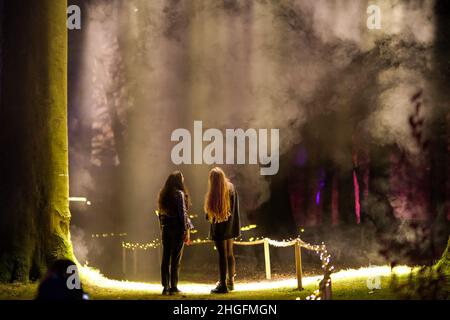 Bruxelles, Belgique.20th janvier 2022.Les gens voient une installation de lumière à l'aperçu du spectacle de lumière immersive « nature illuminée » au château Groot-Bijgaarden à Dilbeek, près de Bruxelles, Belgique, le 20 janvier 2022.Grâce à son et à l'éclairage laser, le spectacle lumineux « nature illuminé » offre au public une expérience immersive pour percevoir les changements de saison dans la nature.Il sera ouvert au public du 21 janvier au 20 mars.Credit: Zhang Cheng/Xinhua/Alay Live News Banque D'Images