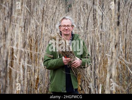 18 janvier 2022, Brandenburg, Wittstock/Dosse/OT Zempow: L'agriculteur Wilhelm Schäkel a coupé du chanvre commercial dans un champ au Bio Ranch et lie les plantes en un ensemble.Le chanvre est particulièrement adapté au matériau d'isolation.Schäkel est l'un des 15 agriculteurs du district d'Ostprignitz-Ruppin de Brandebourg et de l'État voisin de Mecklembourg-Poméranie occidentale qui sont légalement impliqués dans la culture du chanvre commercial.(À dpa 'domaine d'activité intéressant pour les agriculteurs: Culture du chanvre commercial') photo: Soeren Stache/dpa-Zentralbild/dpa Banque D'Images