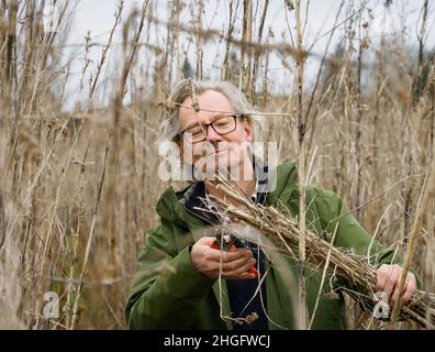 18 janvier 2022, Brandenburg, Wittstock/Dosse/OT Zempow: L'agriculteur Wilhelm Schäkel coupe le chanvre commercial dans un champ au Bio Ranch et lie les plantes dans un paquet.Le chanvre est particulièrement adapté au matériau d'isolation.Schäkel est l'un des 15 agriculteurs du district d'Ostprignitz-Ruppin de Brandebourg et de l'État voisin de Mecklembourg-Poméranie occidentale qui sont légalement impliqués dans la culture du chanvre commercial.(À dpa 'domaine d'activité intéressant pour les agriculteurs: Culture du chanvre commercial') photo: Soeren Stache/dpa-Zentralbild/dpa Banque D'Images