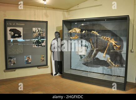 Musée archéologique et paléontologique Toll Caves à Moià dans la région de la province de Moianès de Barcelone, Catalogne, Espagne Banque D'Images