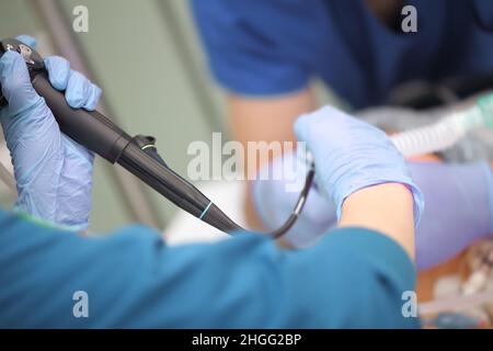 Procédure quotidienne de traitement de routine dans l'unité de soins intensifs réalisée par un médecin féminin et une infirmière adjointe masculine. Banque D'Images