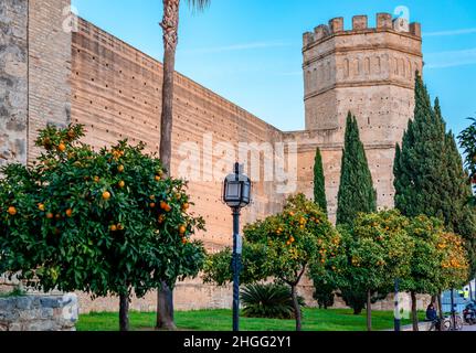 La tour octogonale et les murs de l'ancien Alcazar maure qui abrite maintenant un parc.Jerez de la Frontera, Andalousie, Espagne. Banque D'Images