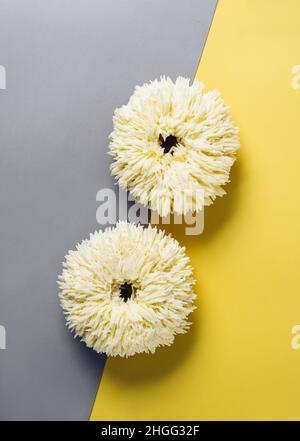 Beignets de cerf sur fond gris et jaune de deux couleurs. Beignets tendance et crème au beurre blanc à la vanille. Copier l'espace. Vue de dessus ou plan de travail. Verticale Banque D'Images