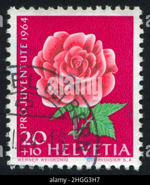 SUISSE - VERS 1964 : timbre imprimé par la Suisse, affiche une rose florale, vers 1964. Banque D'Images