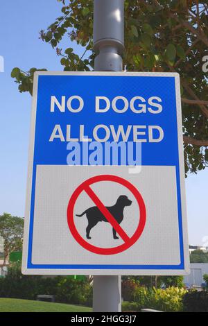 Panneau d'avertissement au parc, baie de Bahreïn : chiens interdits Banque D'Images