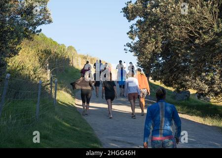 Tauranga Nouvelle-Zélande - janvier 16 2022 ; les marcheurs se délachent sur le mont Maunganui pendant que le soleil se lève pour faire de l'exercice tôt le matin et pour la vue du dessus. Banque D'Images