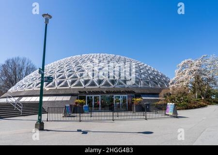 Conservatoire Queen Elizabeth Park Bloedel au printemps. Banque D'Images