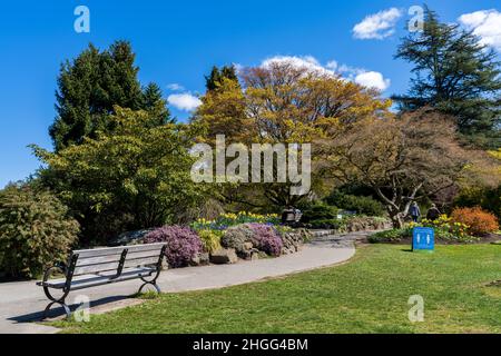 Jardins de carrière de Queen Elizabeth Park en pleine journée ensoleillée, belles fleurs en pleine floraison.Vancouver, C.-B., Canada. Banque D'Images