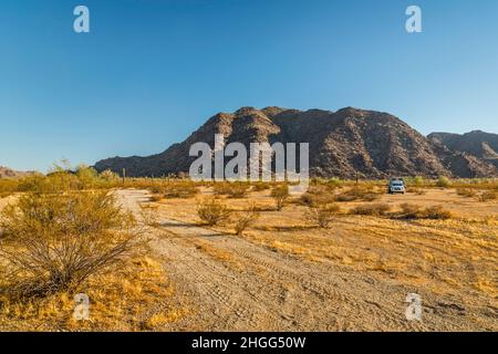 Campeur au terrain de camping de l'Ouest de Margies Cove, brousse de créosote, brousse du désert, mont Sheep, montagnes Maricopa,Monument national du désert de Sonoran, Arizona Banque D'Images