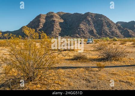 Campeur au terrain de camping de l'Ouest de Margies Cove, brousse de créosote, brousse du désert, mont Sheep, montagnes Maricopa,Monument national du désert de Sonoran, Arizona Banque D'Images