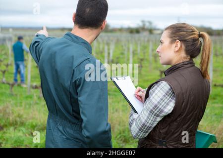 les travailleurs parlent par une femme de vignoble tenant une planchette à pince Banque D'Images