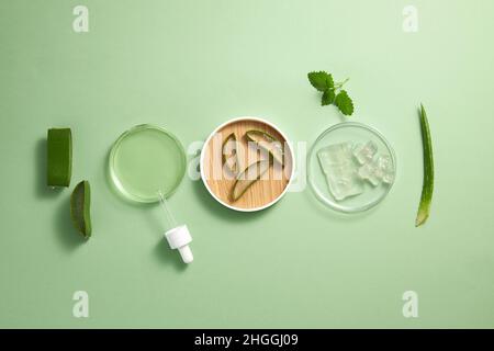 Recherche d'extrait d'aloe vera en laboratoire avec un compte-gouttes de boîte de pétri dans fond vert clair pour la publicité de recherche d'aloe vera , photographie science Banque D'Images