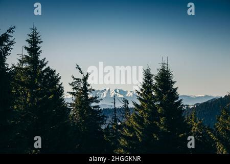 Montagnes d'hiver, forêt de conifères enneigés, ciel bleu, printemps Banque D'Images