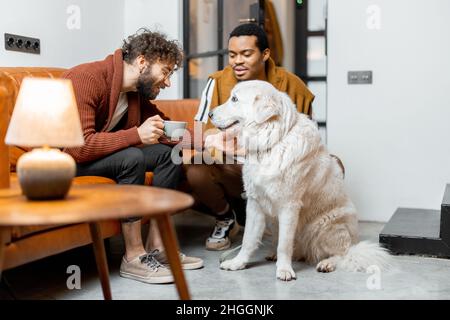 Couple gay s'amusant avec un chien à la maison Banque D'Images