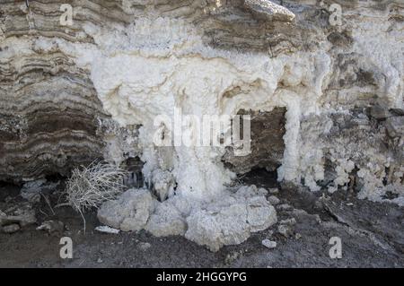 Formations de sel à la mer Morte en Jordanie, Moyen-Orient.Cristaux de sel sédimentation de l'eau salée à l'endroit le plus bas de la terre, le lac le plus bas Banque D'Images