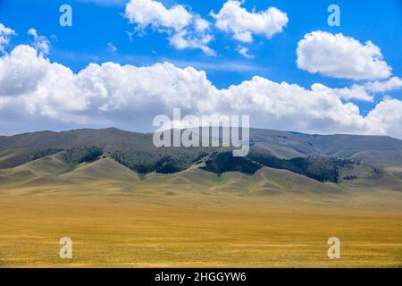 Xinjiang prairie et paysage de montagne en automne, Chine. Banque D'Images