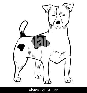 Dessin vectoriel de race de chien dessiné à la main. Illustration de Vecteur