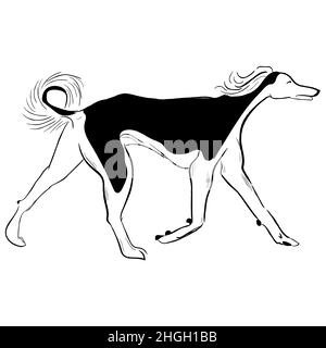Dessin vectoriel de race de chien dessiné à la main. Illustration de Vecteur
