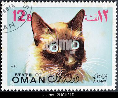 Timbre-poste annulé imprimé par l'État d'Oman, qui montre Cat, vers 1971. Banque D'Images