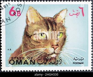 Timbre-poste annulé imprimé par l'État d'Oman, qui montre Cat, vers 1971. Banque D'Images