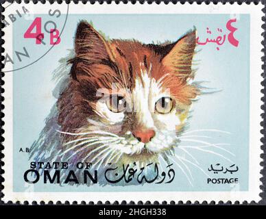 Timbre-poste annulé imprimé par l'État d'Oman, qui montre Cat, vers 1971. Banque D'Images