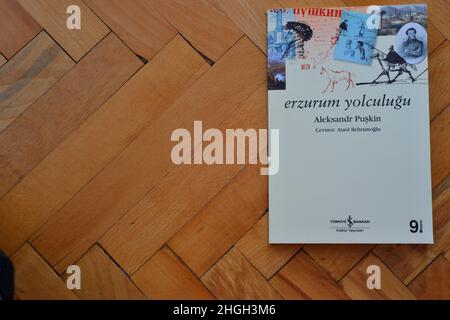 Notes de voyage 'Erzurum Yolculugus' du célèbre écrivain russe Alexander Pushkin traduit en langue turque par Ataol Behramaoglu par Isbank publication Banque D'Images