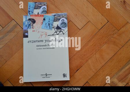 Notes de voyage 'Erzurum Yolculugus' du célèbre écrivain russe Alexander Pushkin traduit en langue turque par Ataol Behramaoglu par Isbank publication Banque D'Images