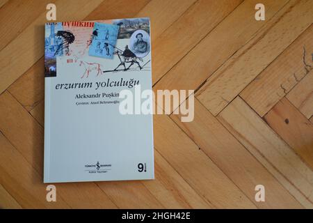 'Erzurum Yolculugus' notes de voyage du célèbre écrivain russe Alexander Pushkin traduit en langue turque par Ataol Behramaoglu par is Kultur Yayinlar Banque D'Images