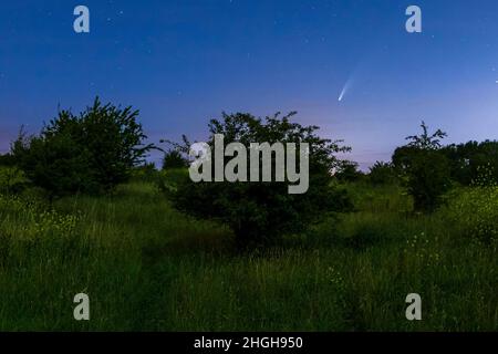 Meteor, étoile de tournage ou étoile de chute vue dans un paysage de ciel de nuit avec des nuages.COMET NEOWISE, C/2020 F3. Banque D'Images